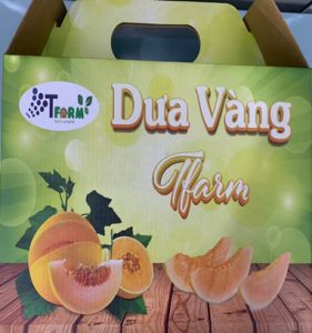 Dưa vàng Tfarm