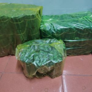 nem chua Lực Dung
