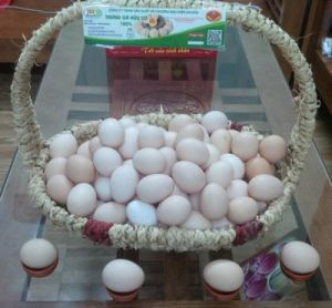 Trứng gà hữu cơ