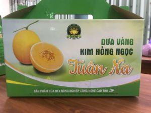 Dưa vàng kim hồng ngọc Tuân Na