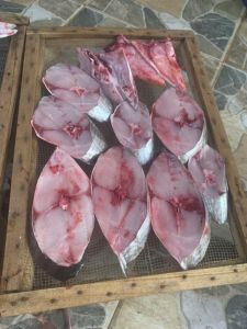 Cá thu Sáng Đông
