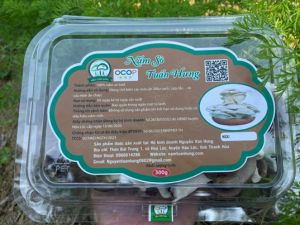 Nấm sò Tuấn Hưng