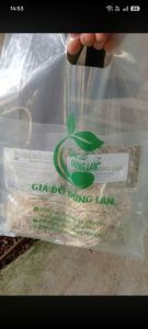 giá đỗ